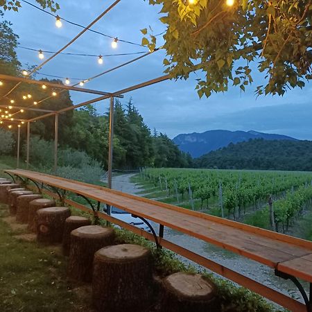 Agriturismo Corte Patrizia 卡普里诺韦罗内塞 外观 照片