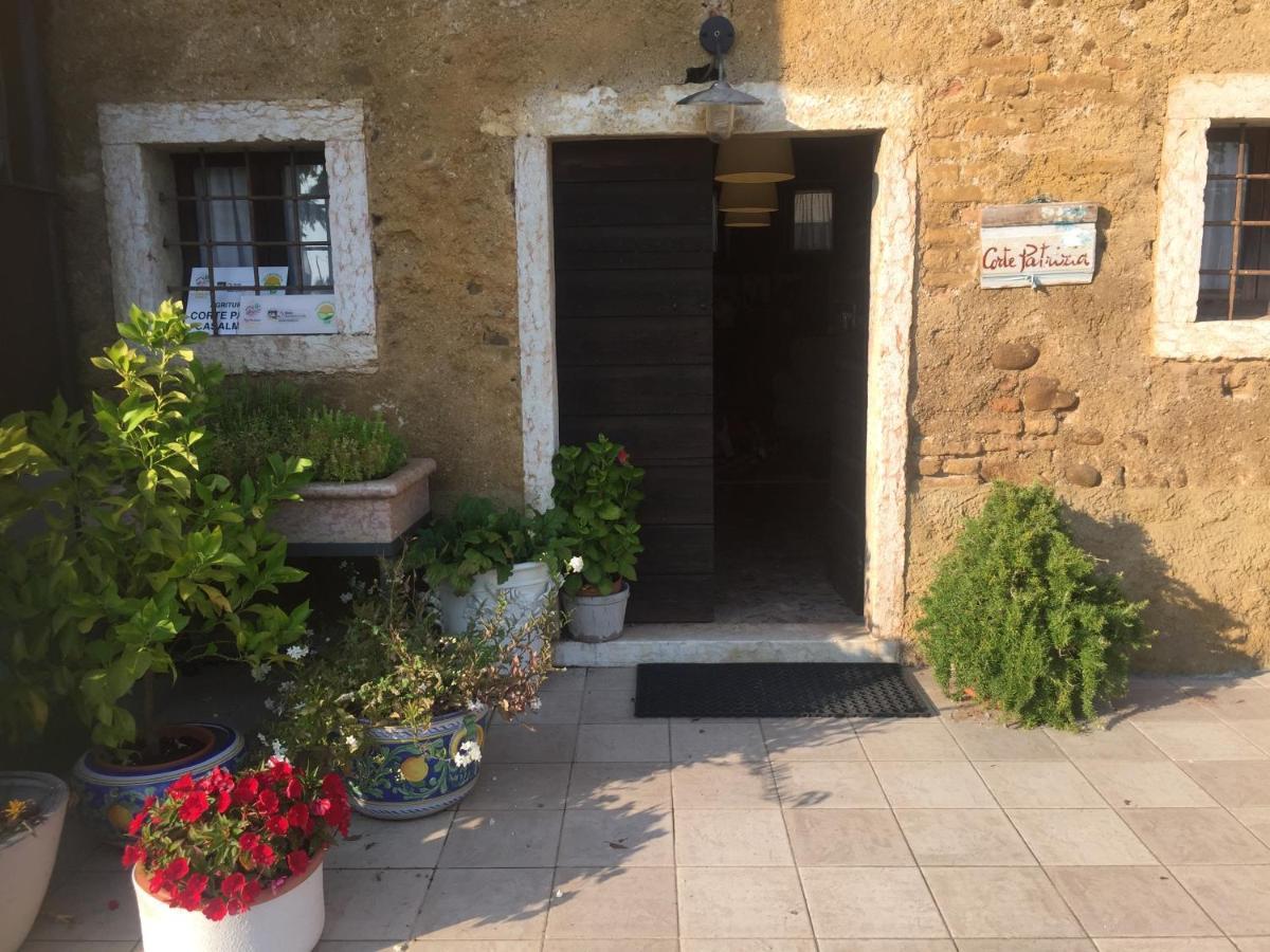 Agriturismo Corte Patrizia 卡普里诺韦罗内塞 外观 照片