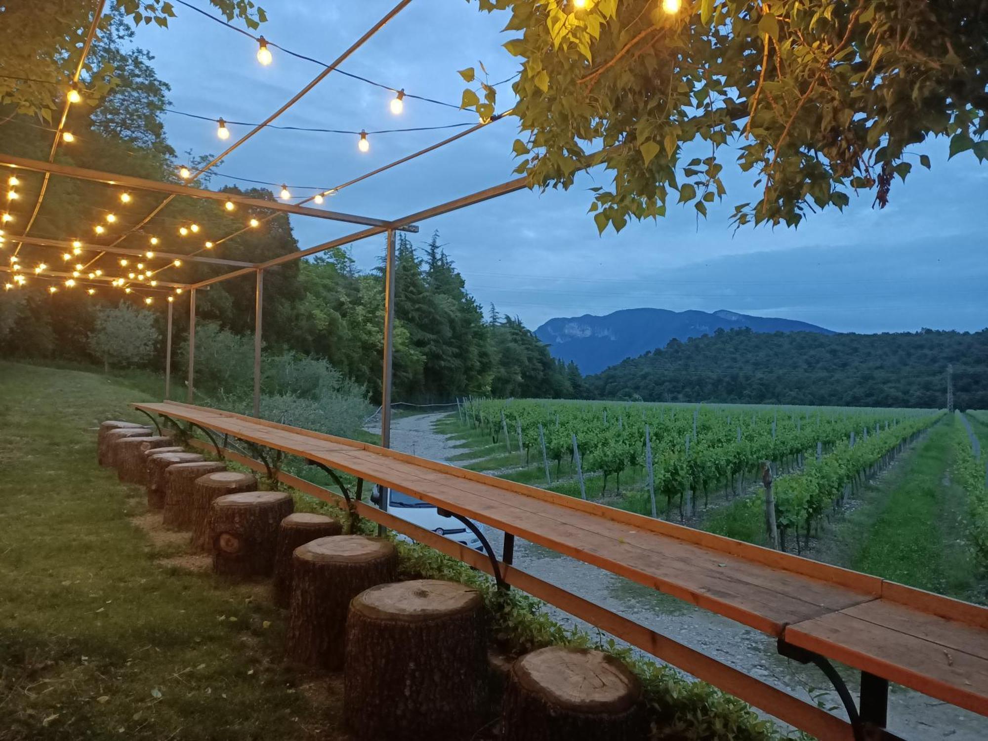 Agriturismo Corte Patrizia 卡普里诺韦罗内塞 外观 照片