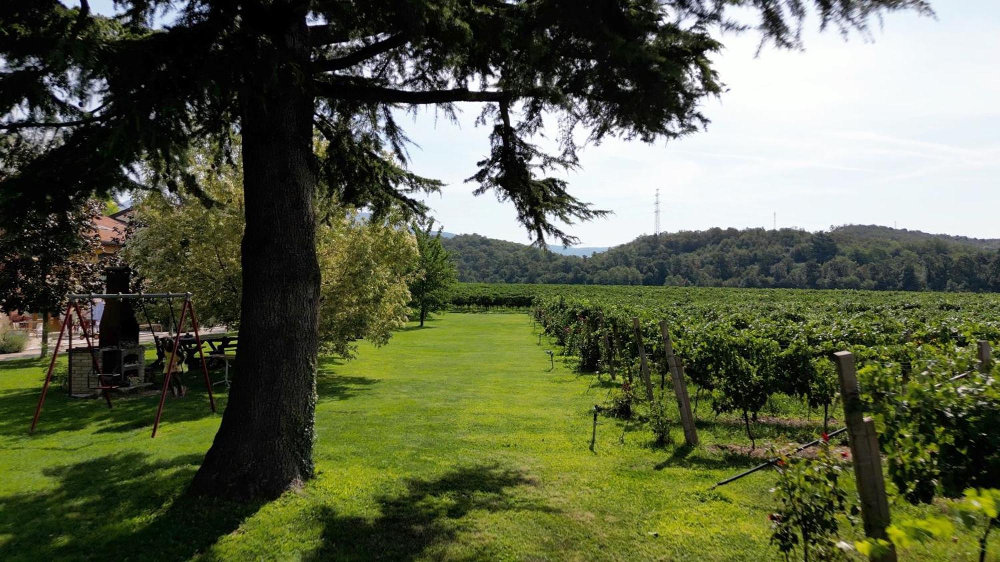 Agriturismo Corte Patrizia 卡普里诺韦罗内塞 外观 照片