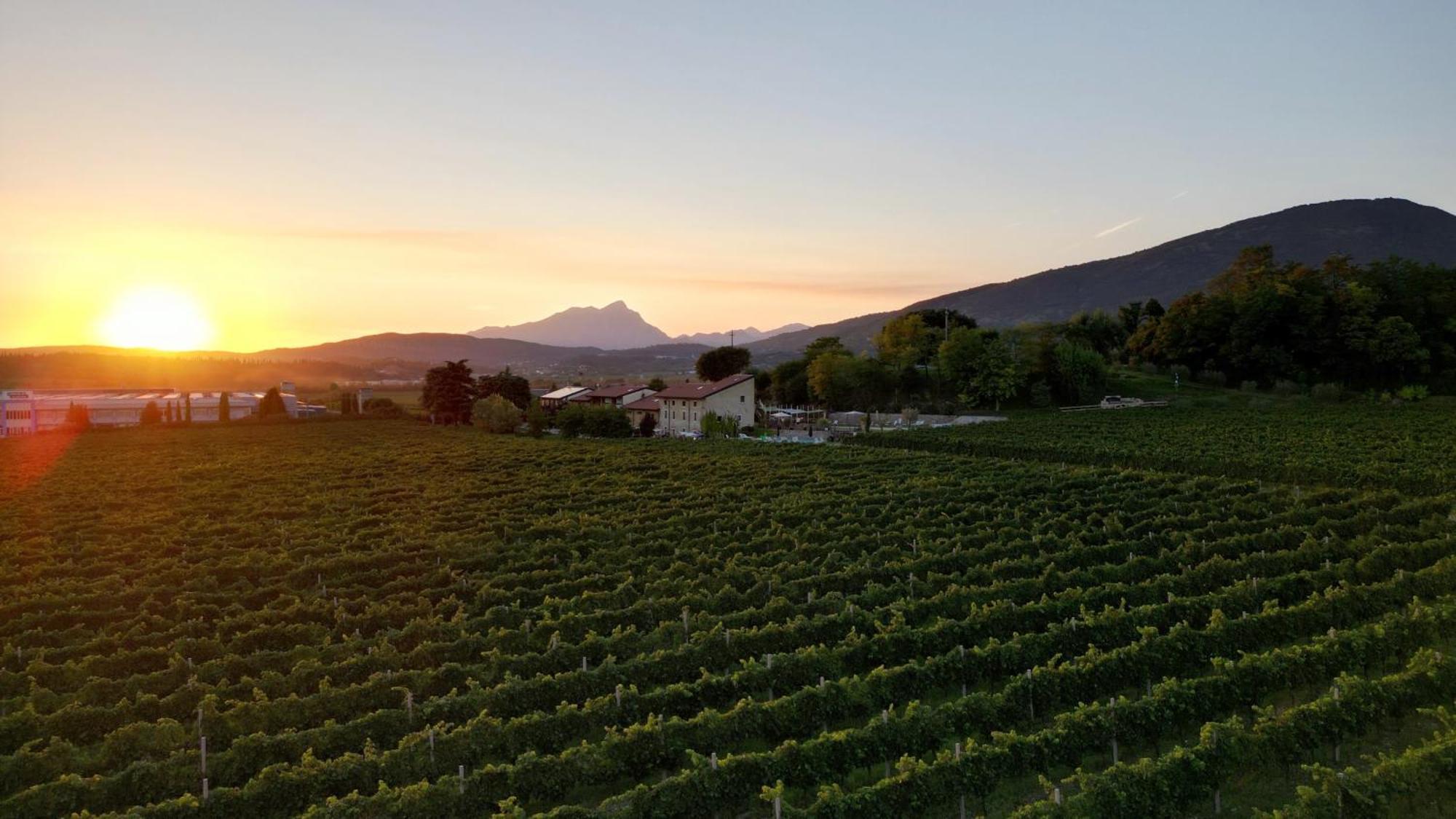 Agriturismo Corte Patrizia 卡普里诺韦罗内塞 外观 照片