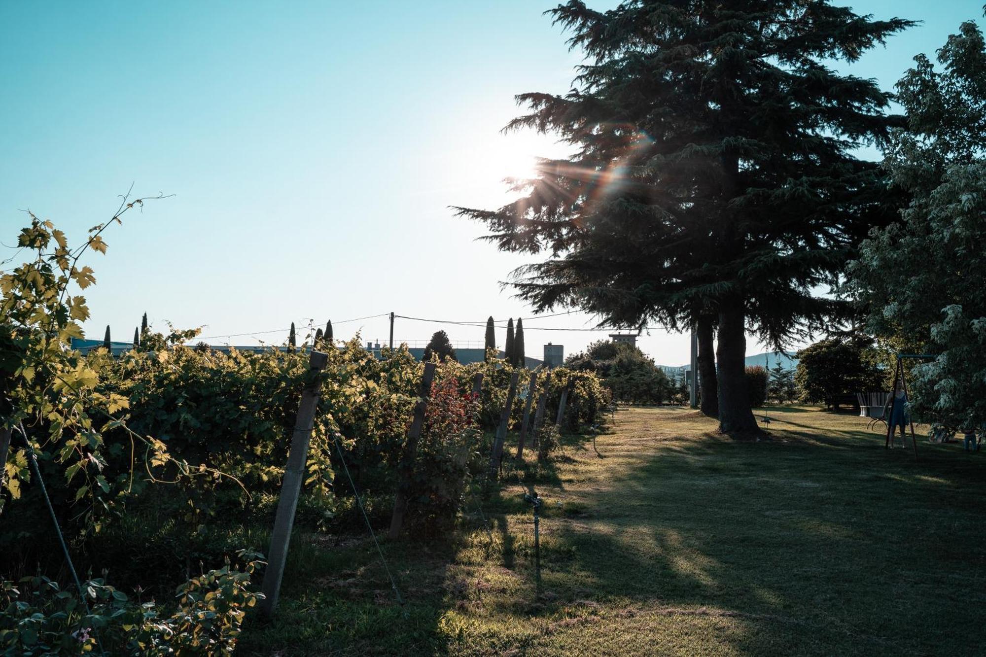 Agriturismo Corte Patrizia 卡普里诺韦罗内塞 外观 照片