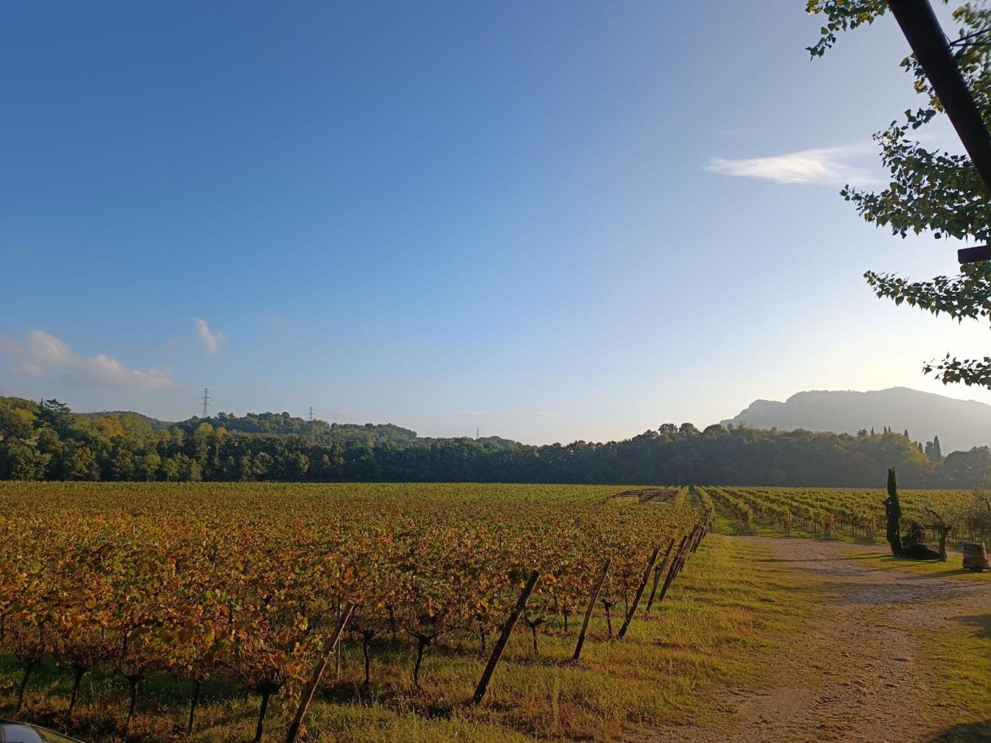 Agriturismo Corte Patrizia 卡普里诺韦罗内塞 外观 照片