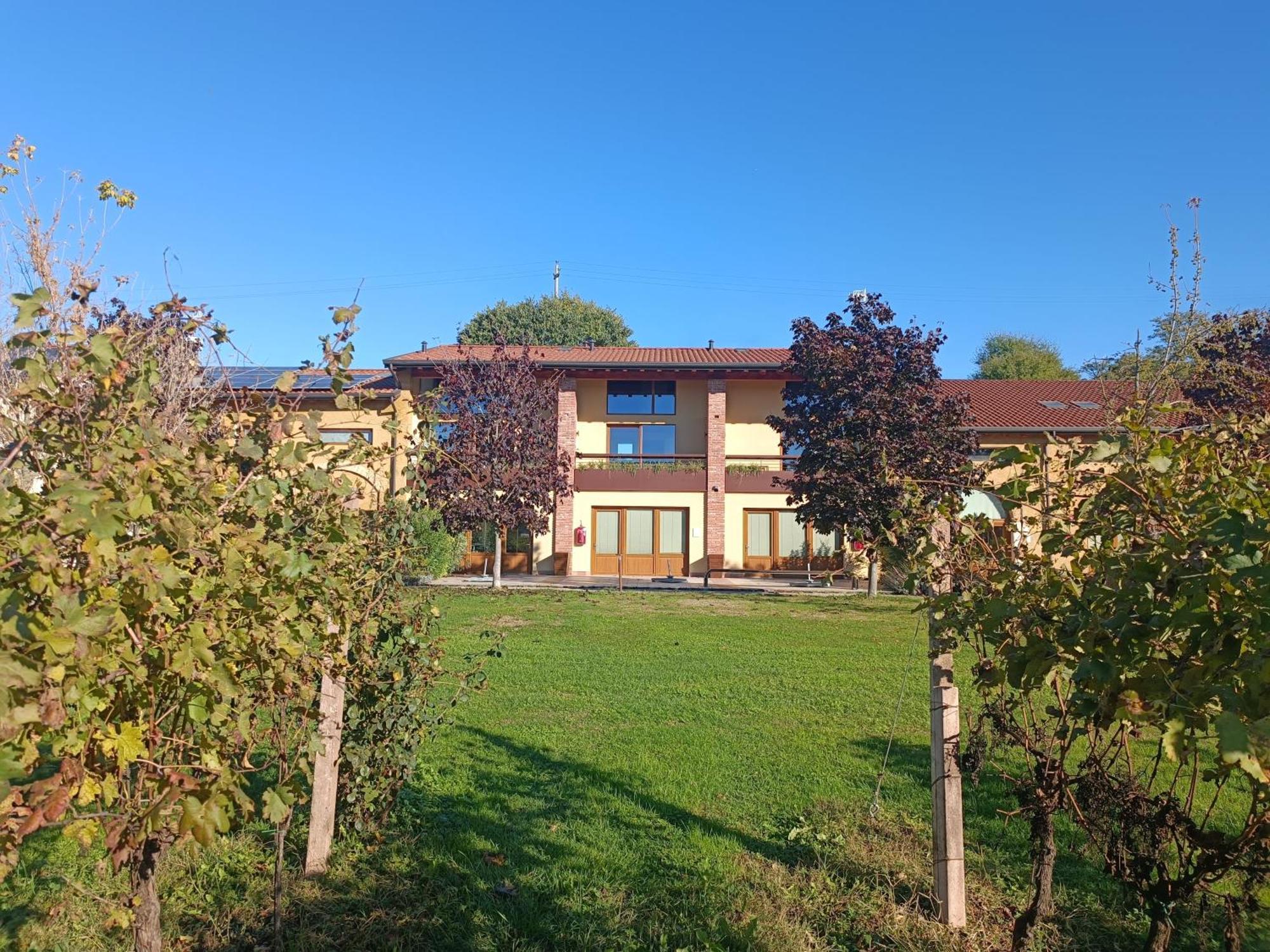 Agriturismo Corte Patrizia 卡普里诺韦罗内塞 外观 照片