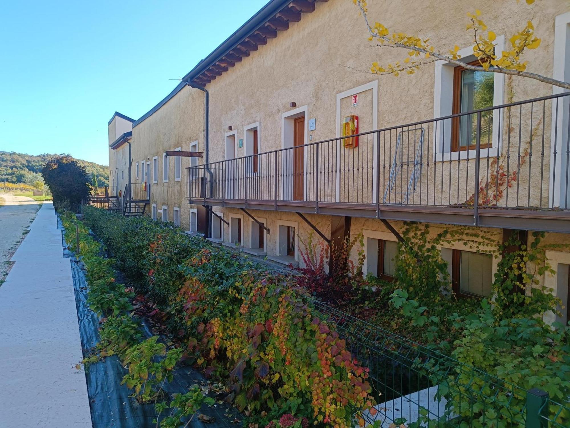 Agriturismo Corte Patrizia 卡普里诺韦罗内塞 外观 照片