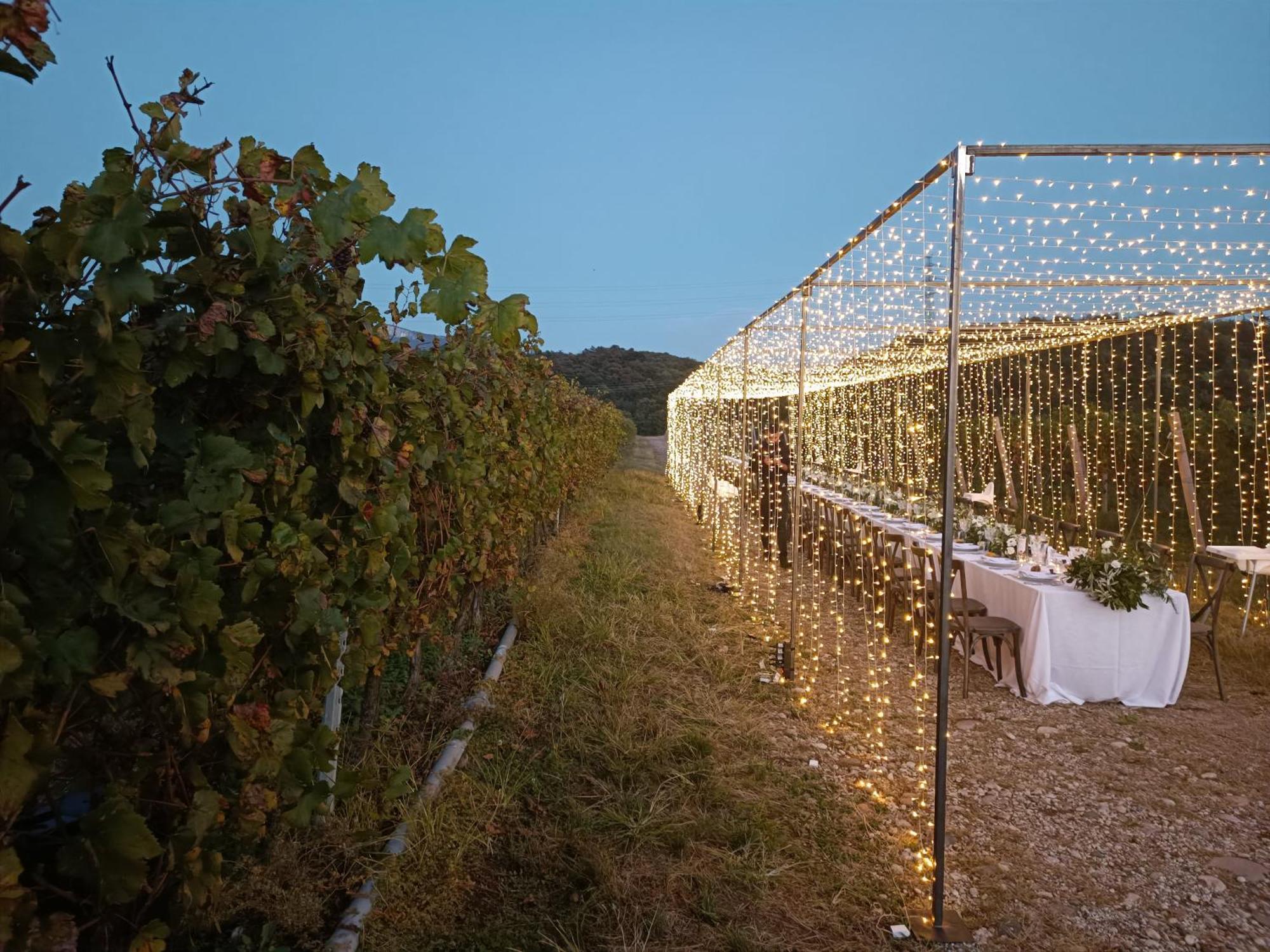 Agriturismo Corte Patrizia 卡普里诺韦罗内塞 外观 照片