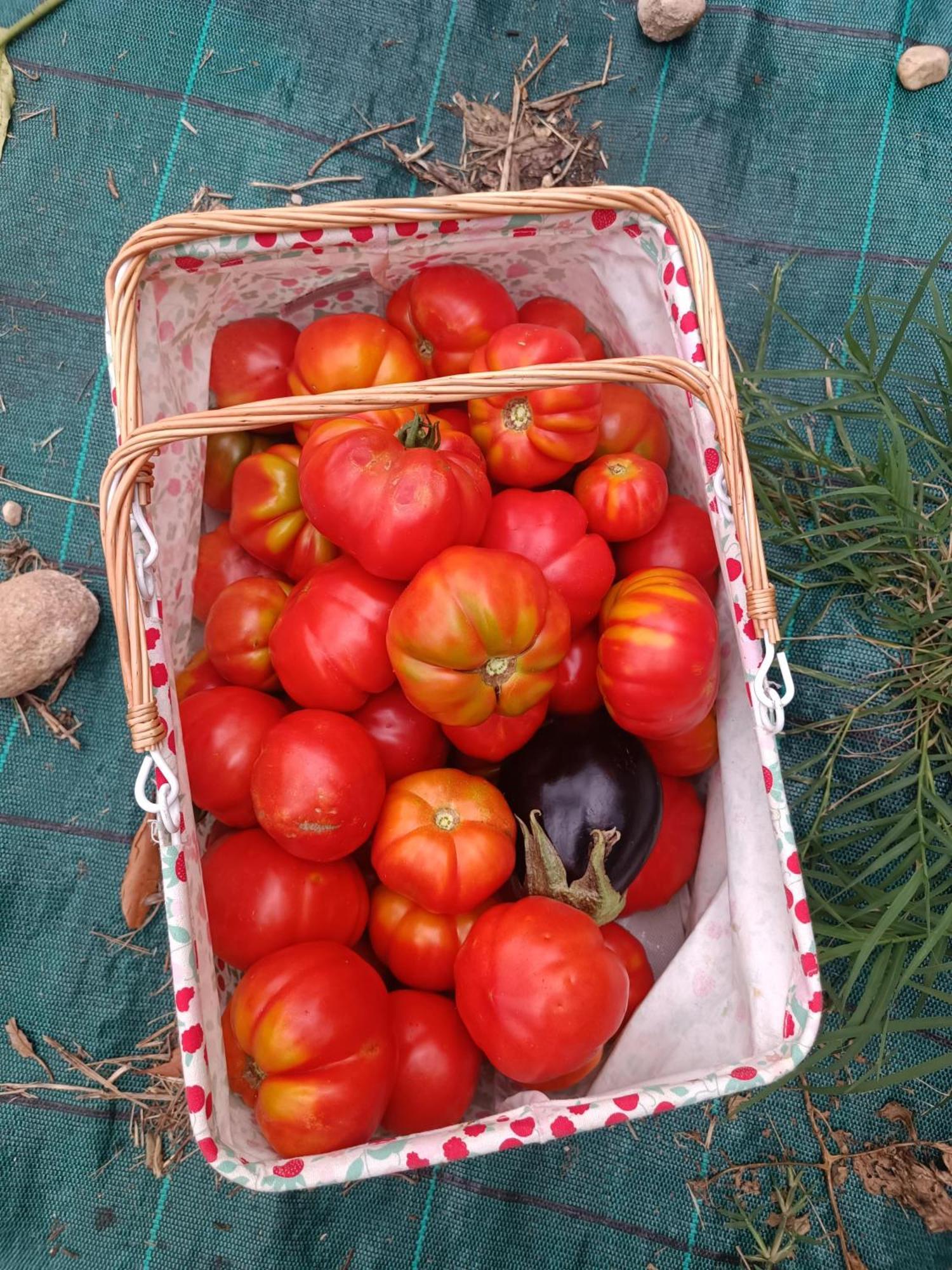 Agriturismo Corte Patrizia 卡普里诺韦罗内塞 外观 照片